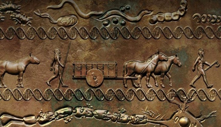 Bilim insanları MS geninin 5000 yıl önceye dayandığını keşfetti