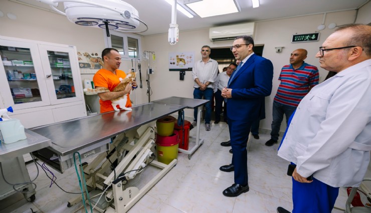 Balçova'da can dostlara ortopedik operasyonlar başlıyor