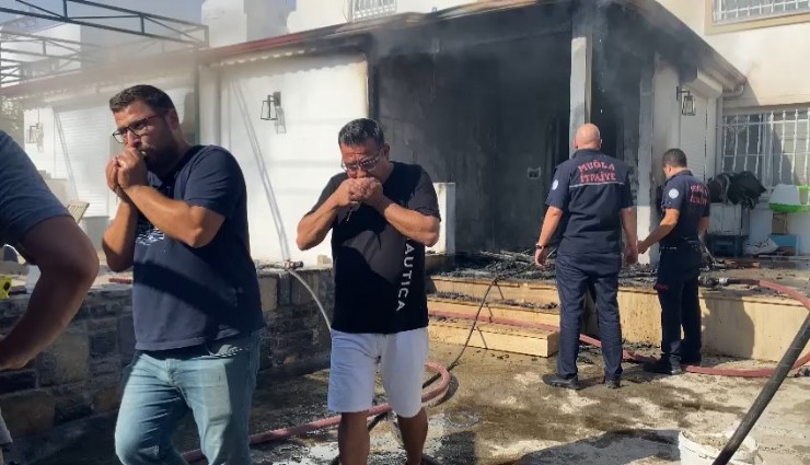 Bodrum'da yanan evden çıkarılan muhabbet kuşları suni tenefüs ile kurtarılmaya çalışıldı