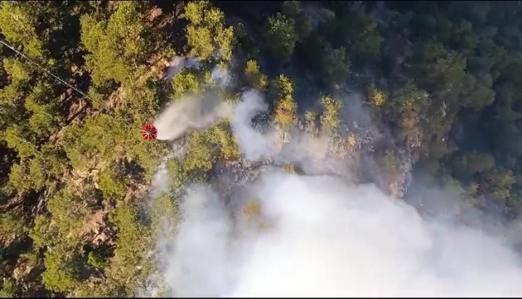 Denizli’deki orman yangınıyla mücadele devam ediyor