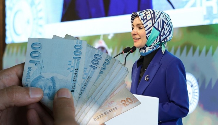 Ekim ayı sosyal yardımları! 1.250 TL, 9.077 TL, 4.180 TL ödenecek