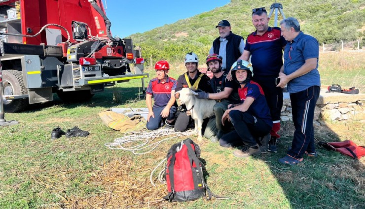 İzmir İtfaiyesi'nden keçi operasyonu: Kuyuya düşen keçiye can suyu oldular