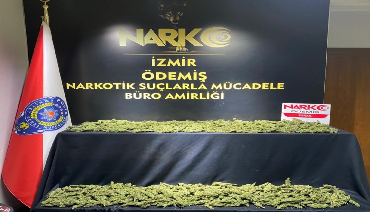 Ödemiş'te zehir tacirleri polisten kaçamadı: Polisin durdurduğu araçtan 2 kilo esrar çıktı