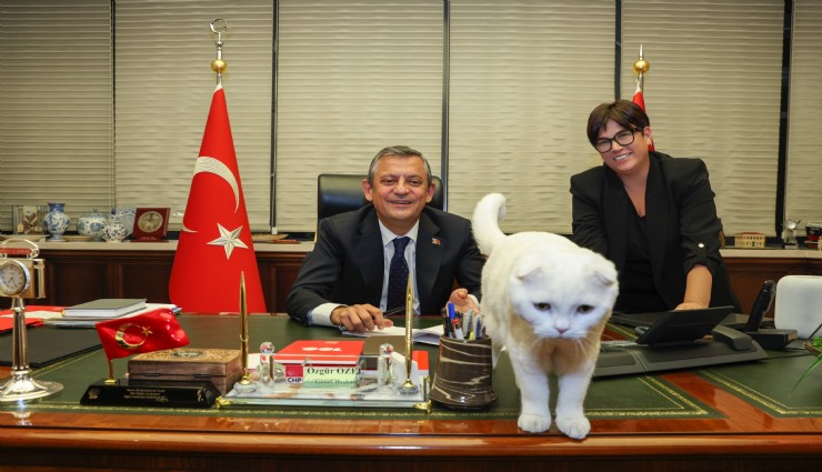 Özel, Bahçeli'nin Öcalan çağrısını yorumladı