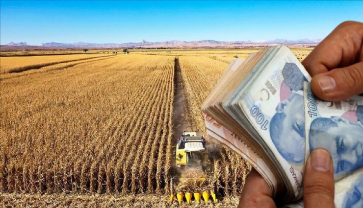Tarım Bakanlığı’ndan 397 milyon lira hibe!