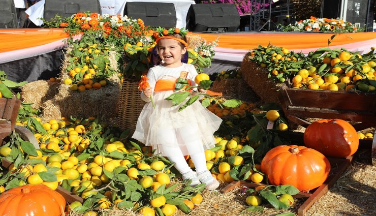 Menderes’te Mandalina Festivali Zamanı