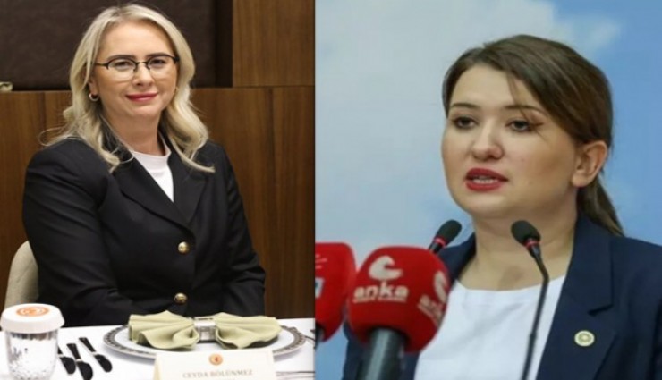 TBMM'de milletvekillerinden ''Hangimiz İzmir'e daha yabancı''tartışması