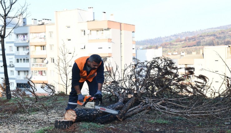 Çiğli Belediyesi Orman Yangınının İzlerini Silmek İçin Seferber Oldu