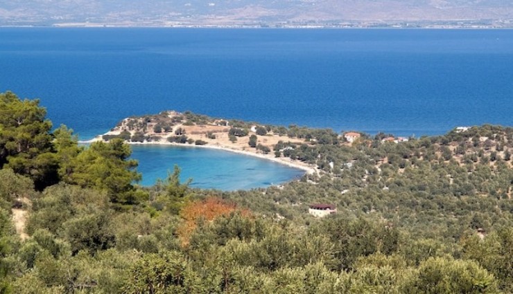 İcradan satışa çıkarılan adanın antik sırrı ortaya çıktı: Garip Adası’nın garip tarihi