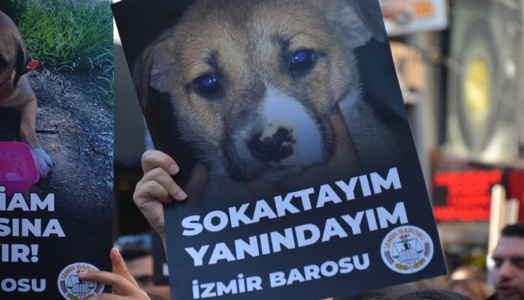İzmir Barosu çok tartışılan hayvan yönetmeliğinin iptali için Danıştay'a dava açtı