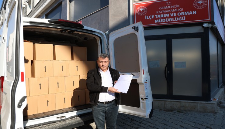 Sahte zeytinyağı ihbarı sahte çıktı