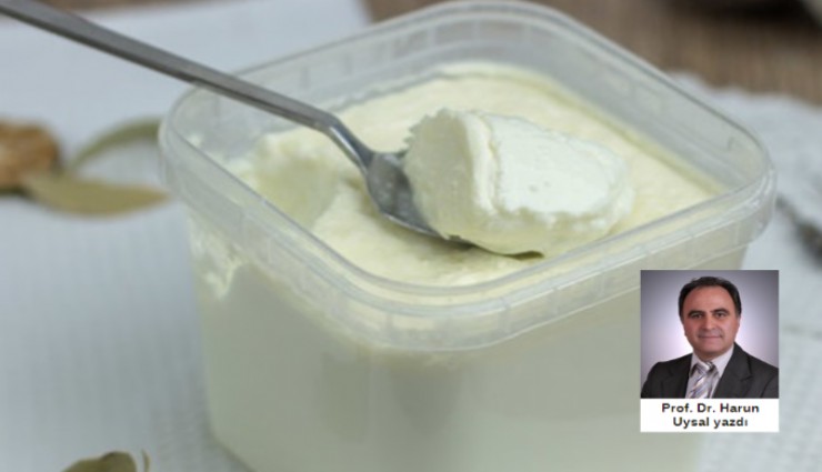 Kara üzüm suyu ile probiyotik keçi yoğurdu