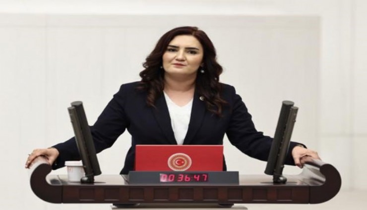 CHP'li Sevda Erdan Kılıç: MEB ilkokul çocuklarına parayla çorba satacak