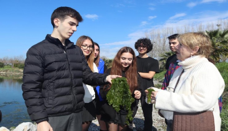 ‘Deniz marulu’ proteinli alternatif gıda olarak kullanılabilecek