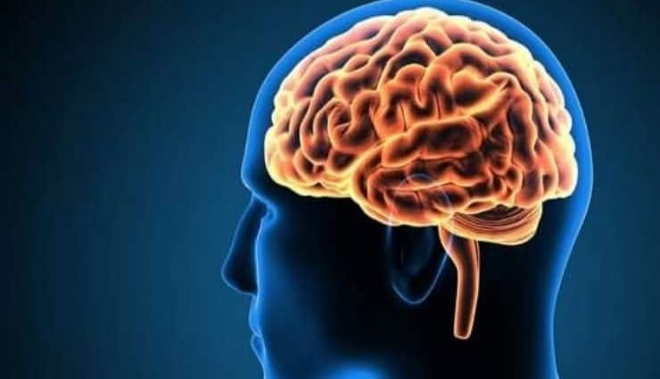 Araştırmalara göre insan beyni büyüyor, peki demans neden artıyor?