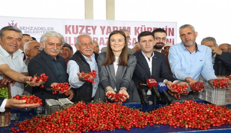 ilk kirazının hasat edildiği Manisa'da üretici umutlu