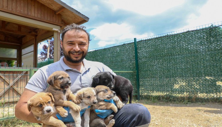 Buca Belediyesi'nden sahiplendirme kampanyası