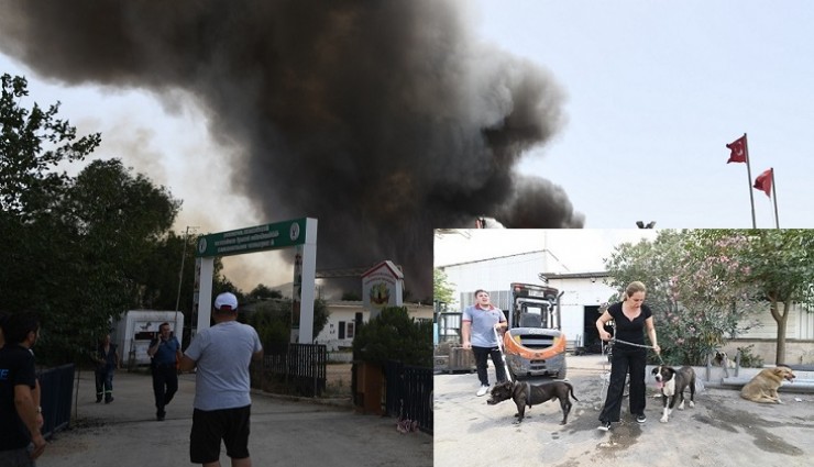 Bornova’daki yangın Veteriner İşleri Müdürlüğüne de sıçradı: Can dostları kurtarmak için zamana karşı yarış