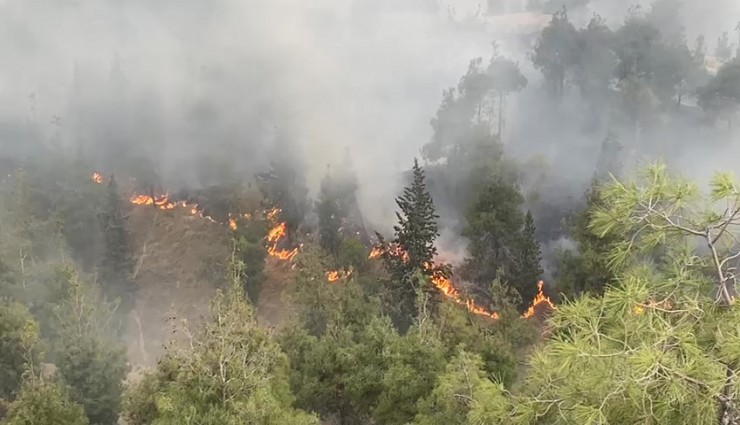 Pamukkale'de korkutan yangın