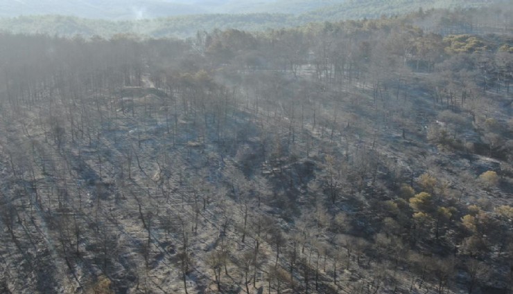 Selçuk'ta başlayan yangının çıkış noktası havadan görüntülendi