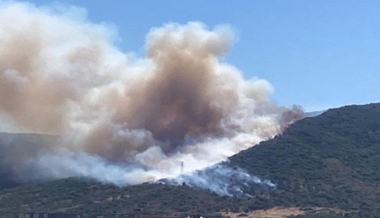 Urla'da korkutan yangın: Havadan ve karadan müdahaleler devam ediyor