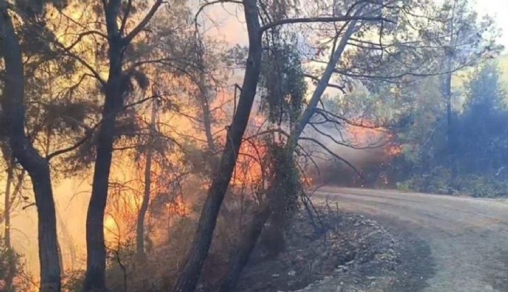 Adana’daki orman yangınında 10 ev tedbir amaçlı tahliye edildi