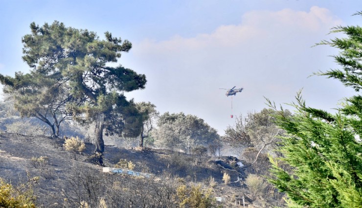 İzmir İtfaiyesi Bornova'daki yangına müdahale ediyor