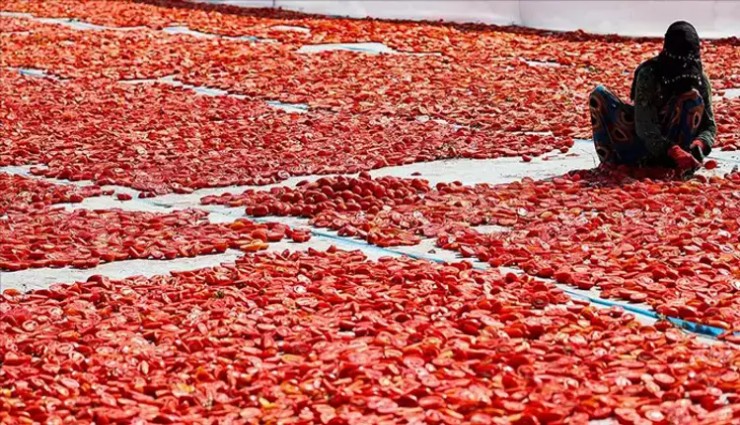 Kuru domatesler ilk 6 ayda 63 milyon dolar ihraç edildi, hedef 100 milyon dolar