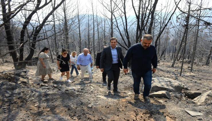 CHP heyeti İzmir'de yangın bölgesinde: İzmir Milletvekilleri sahada incelemelerde bulunuyor