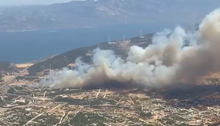 Didim'de iki farklı bölgede yangın