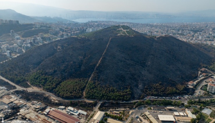 İşte İzmir Büyükşehir Belediyesinin yanan alanlarla ilgili yol haritası: Nerede ne yapılacağı tek tek sayıldı