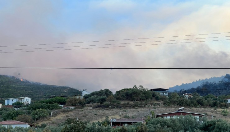 Manisa'daki orman yangını kontrol altına alındı