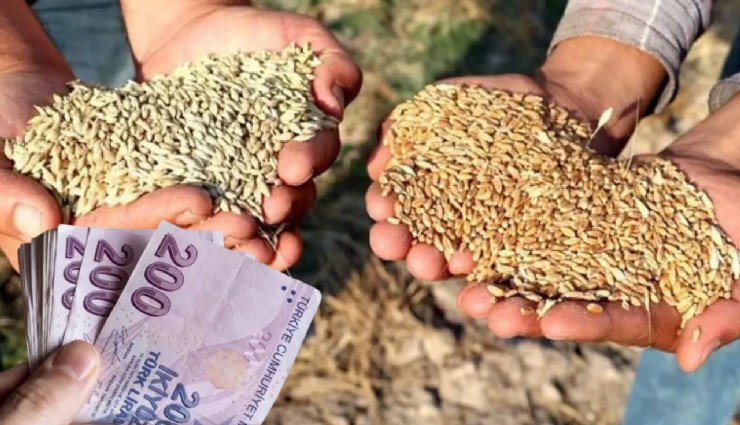 Bakanlıktan çiftçilere, arpa, buğday ve gübre desteği!
