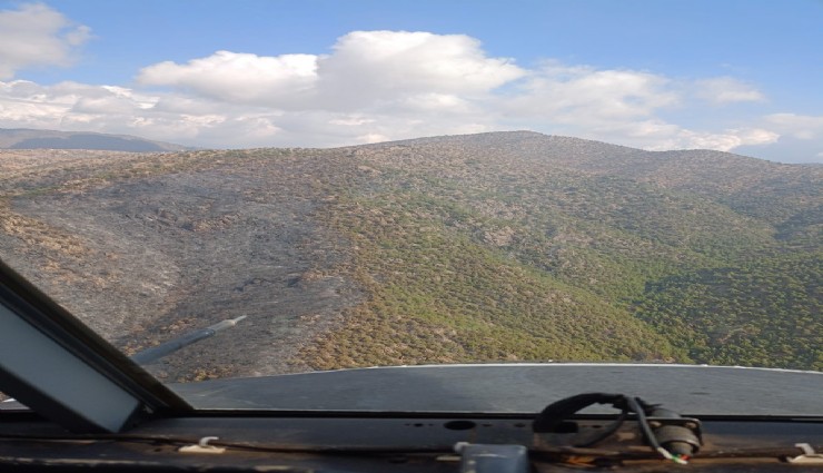 Manisa'daki orman yangını kontrol altına alındı