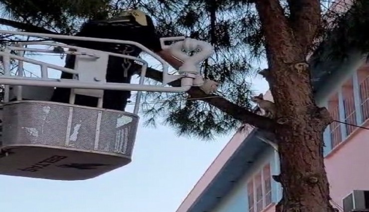 Manisa sevgi operasyonu