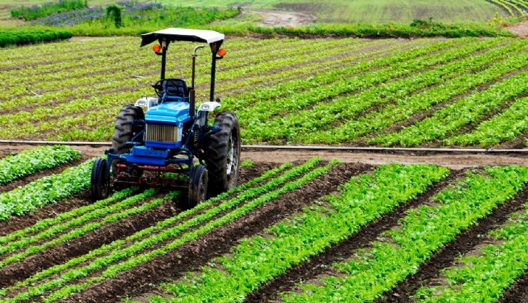 Tohum desteği verilecek! Çiftçiler dikkat başvurular dün başladı