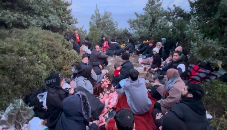 Foça'da hem karada hem denizde göçmen hareketliliği