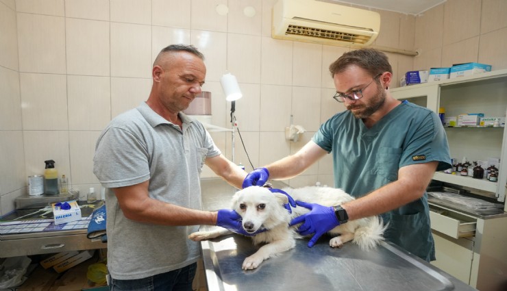 Gaziemir Belediyesi’nden 6 bin 222 can dosta şefkat eli