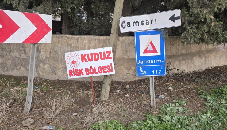 Hatay'da kuduz köpek alarmı: Bir mahalle karantiya alındı