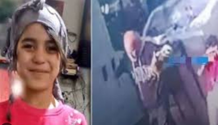 Şirin'i katili hakim karşısında: İlk duruşmada ceza yağdı