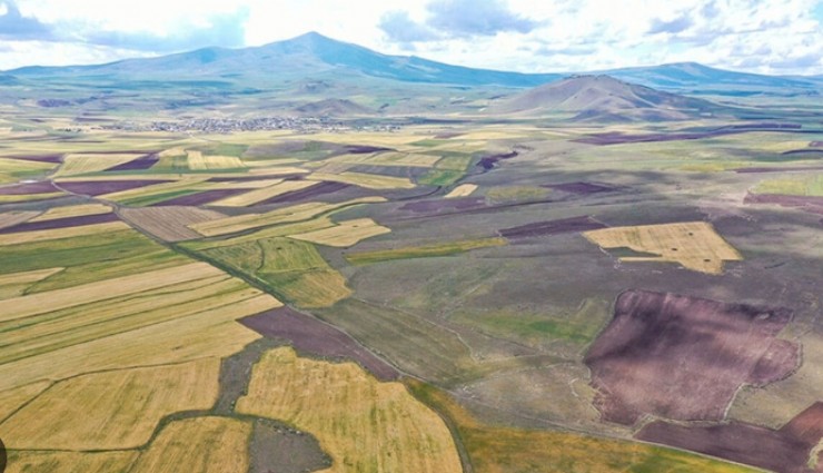 Bergama’da hazineye ait 2 tarla satışa çıkıyor