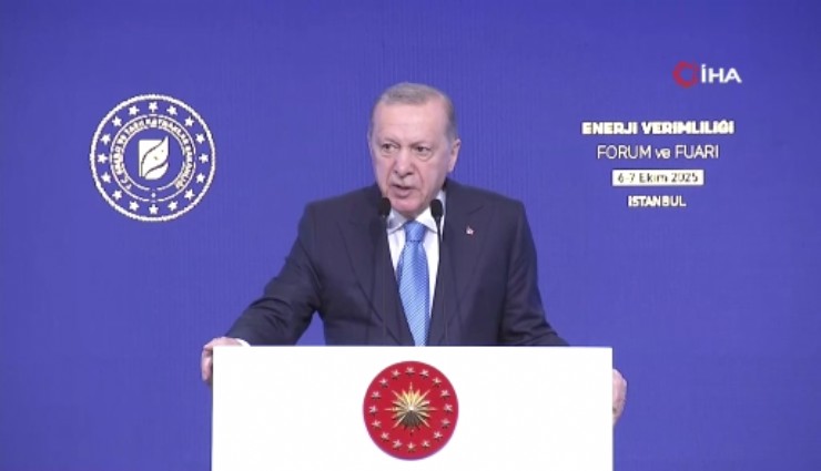 Cumhurbaşkanı Erdoğan'dan doğal gaz açıklaması: Gazoz almaya benzemez