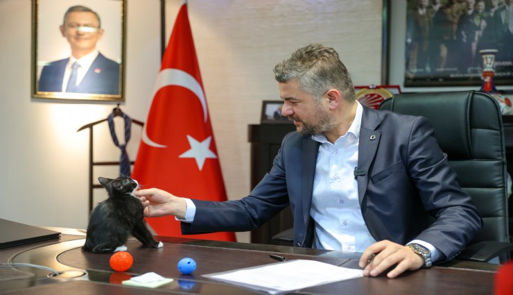Hayvanları Koruma Günü’nde Başkan Duman’dan çağrı