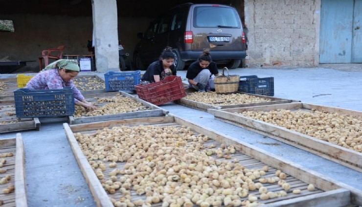 Aydınlı üreticiler ateş püskürdü