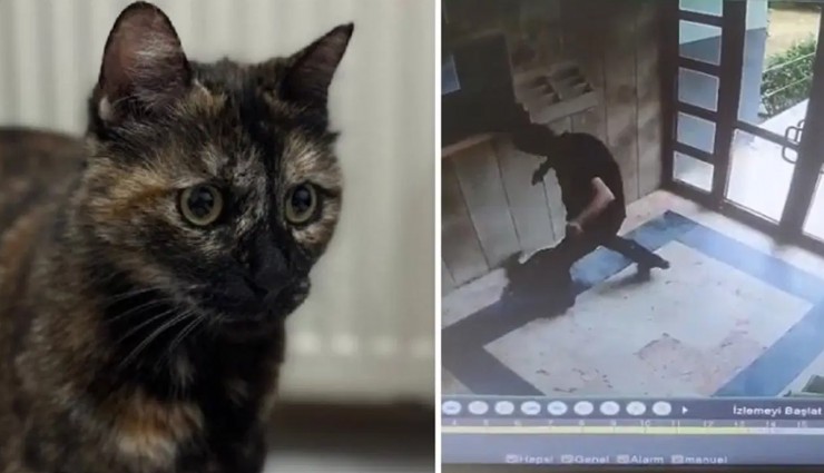 Cezve'nin failine üst sınırdan hapis cezası