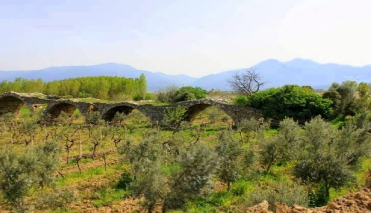 Kemalpaşa’daki 
