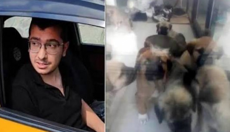 Ankara'da hayvan istismarına hapis cezası