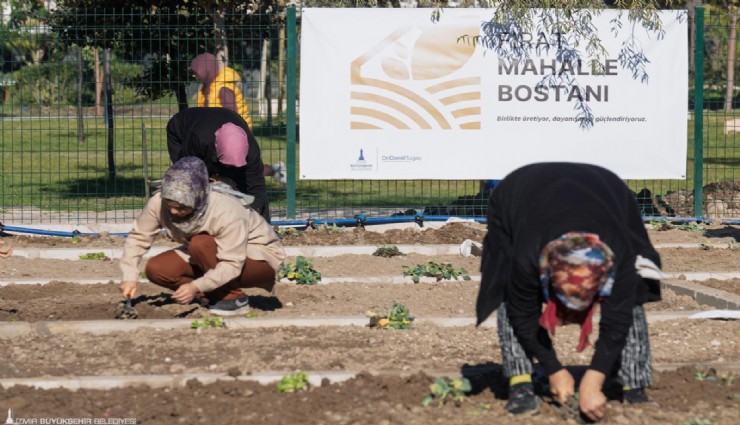 Mahalle bostanlarında kış dikimleri başladı