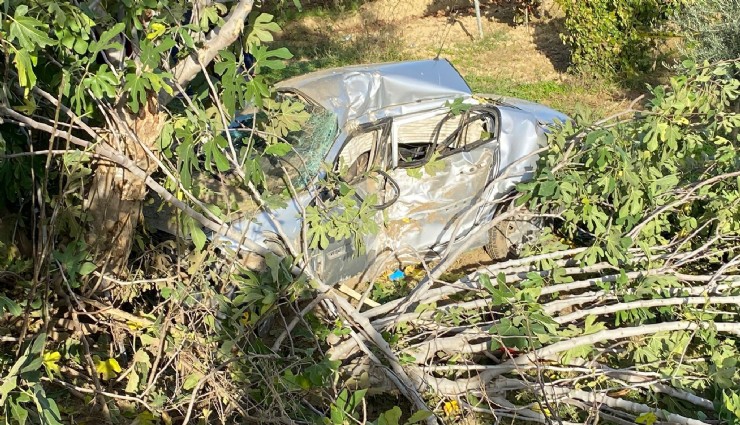 Manisa’da otomobil üzüm bağına devrildi: Sürücü hayatını kaybetti
