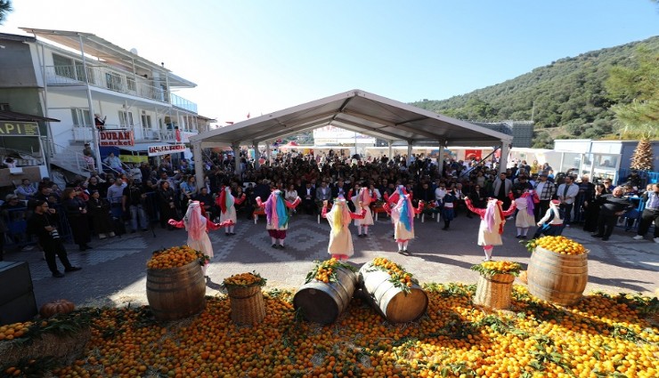 Menderes Mandalina Festivali ile coştu